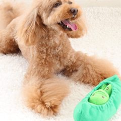 26犬用歯磨き枝豆クッション オンラインクレーンゲームするなら株式会社dc7